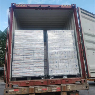 Konpayi an te ekspòte avèk siksè 5,000 bwat kabòn-papye resi gratis nan mache...